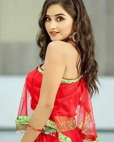 Escort In Vanthali